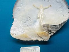 -青岛贝壳博物馆