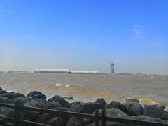 -吴淞炮台湾湿地森林公园烧烤区