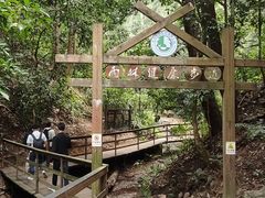 -西双版纳原始森林公园