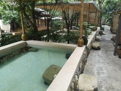 -乐领拈花溪·林涧食韵