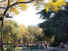 -西安交通大学(雁塔校区)