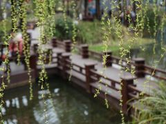 -成飞公园