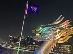 -新龙船黄浦江餐饮游船官方自营店