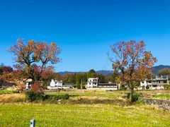 -塔川景区
