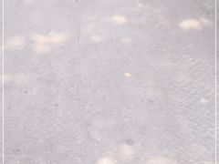 -鸡毛店·川菜(双楠店)