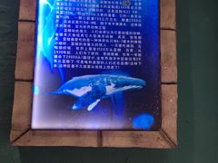 -南昌海洋公园