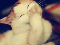 -翠亭酒家(山西南路店)