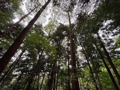 -敬亭山风景名胜区