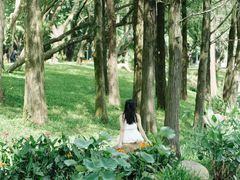 -人民公园(罗湖区)