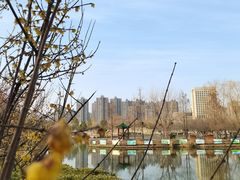 -滨湖塘西河公园
