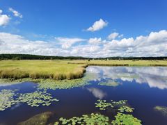 -塞罕坝国家级自然保护区