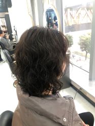 -世田造型