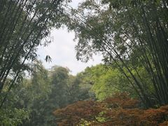 -成都杜甫草堂博物馆