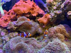 -Zoolung Zoolung动物主题公园(海信广场店)