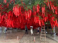 -大嶝英雄三岛战地观光园