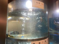 -老船舫·现做活鲜鱼馆(东郊记忆店)