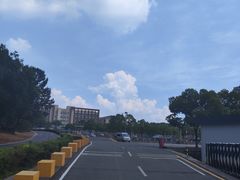-狮麟驾校