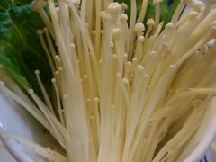 金针菇-皇城根(张杨店)