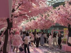 -东莞松山湖万象汇