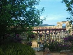 -世界恐龙谷景区