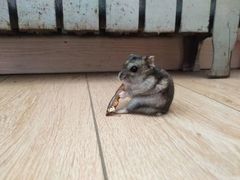 -蒸涮传奇自助餐厅