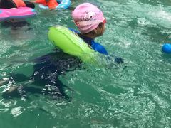 -南宫温泉水世界