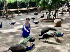-西双版纳傣族园