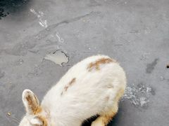 -红山体育乐园