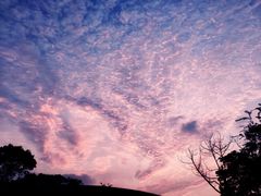 -广州市白云山风景名胜区