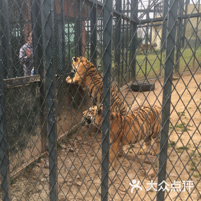 無錫動物園·太湖歡樂園圖片 - 第1張