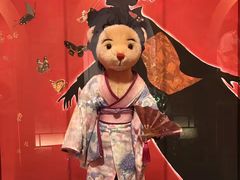 -济州岛泰迪熊博物馆