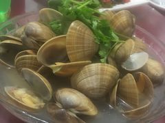 -烁佳海鲜大馅饺子