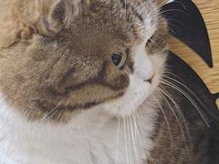 -小时光咖啡馆(北锣鼓巷店)