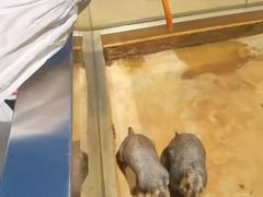 -南戴河国际娱乐中心