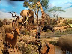 -陕西自然博物馆