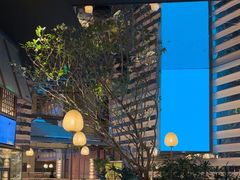 -桂满陇·海市蜃楼·黑金(国金店)