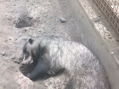 -沈阳鸟岛