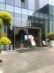-Doris多里斯半永久纹眉·SMP纹发·发际线