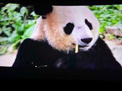 -万象影城(杭州萧山万象汇店)