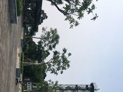 -广州市帽峰山景区