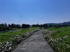 -洋湖国家湿地公园
