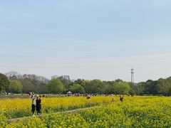-八卦田遗址公园