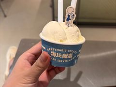 -海比甜店·意式手工冰激淋happy habit gelato