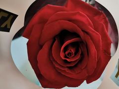 -元祖食品GANSO(星沙店)