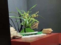 -江左尚白日本料理(万象城店)