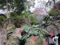 -海口观澜湖火山温泉谷