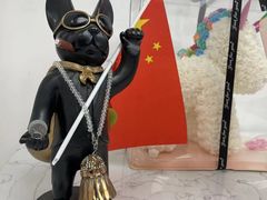 -XPEL旗舰店·汽车贴膜·隐形车衣·改色贴膜