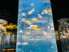 -三越百货(三越银座店)