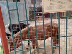 -有喜胶东小馆(超极合生汇太申祥和店)