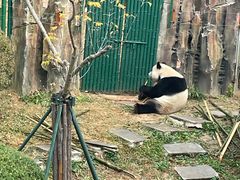 -大连森林动物园